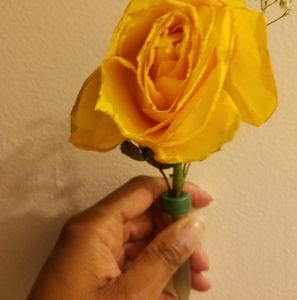 Meet your Posher, Monica